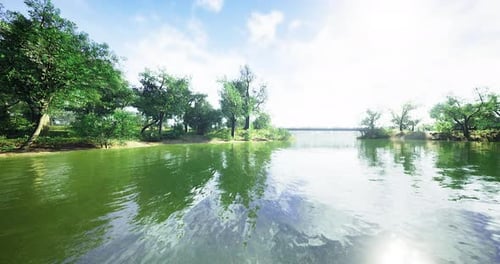 Tranquil River Landscape Seen Under Bright Sunny Sky with Lush Green Trees