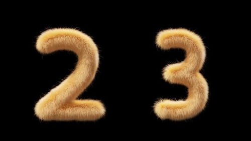 3D animation Chick woolen numbers 2 and 3