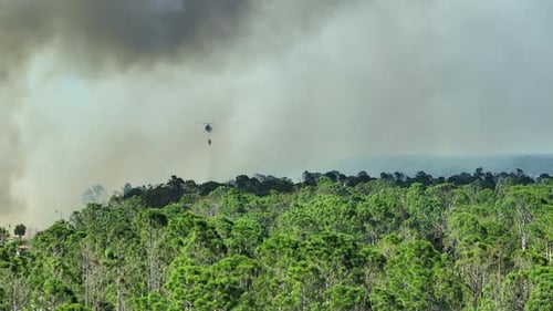 Aerial View of Fire Department Helicopter Extinguishing Wildfire Burning Severely in Florida Jungle