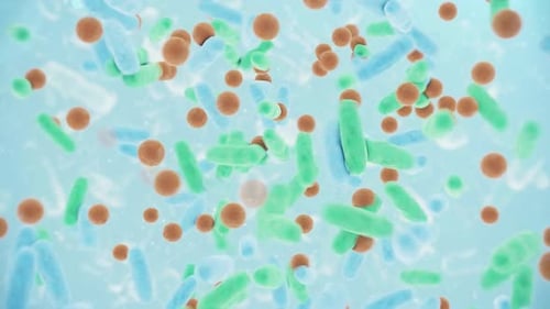 Animated Microbes and Bacteria Floating in Medical Science Background