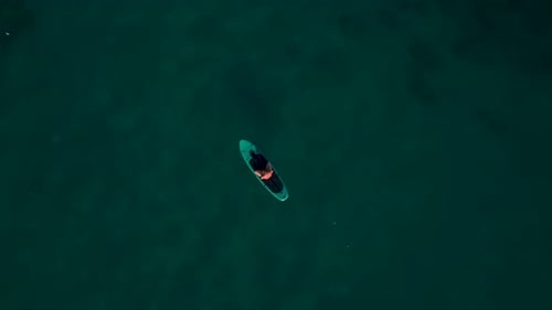 Aerial View Group of Friends Paddleboarding and Having Fun in a Bay Festival