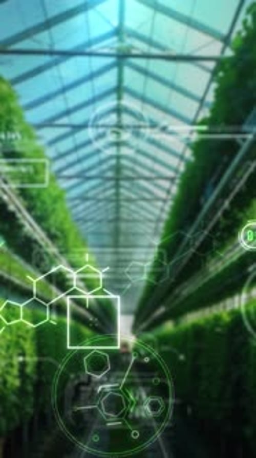Smart Agriculture Technology Analyzing Plant Growth in a Greenhouse