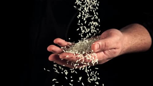 Uncooked Rice Falls on a Man's Hand