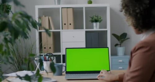 Back View of Businesswoman Using Chroma Key Green Screen Laptop Working with Computer in Office