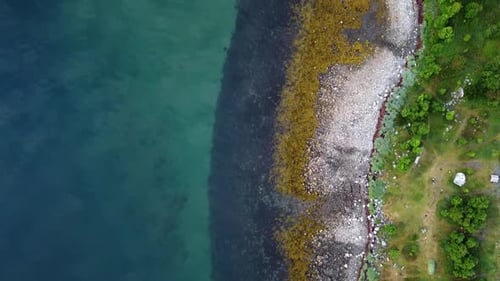 Turquoise sea water alongside colorful seashore of brown seaweed, white rocks & green forest, bird’s