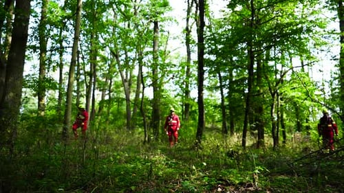 People in Suits Walking in Forest