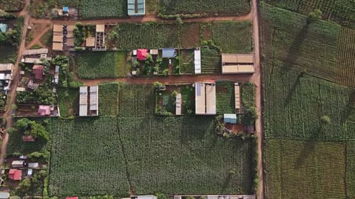 Rural landscape of African farming village Loitokitok, Kenya, aerial top down