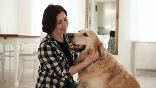 Woman Petting a Golden Retriever in Bright Home