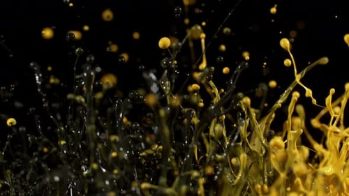 Dynamic Yellow and Black Paint Splashes on Black Background