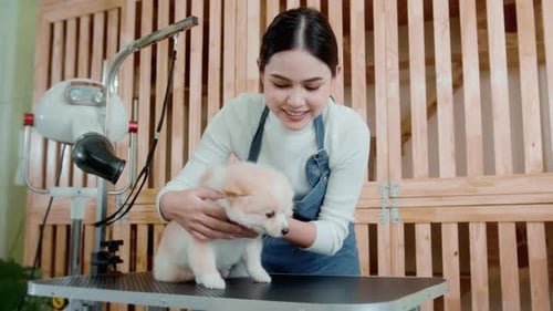 Woman Grooms Cream Colored Dog at Pet Salon