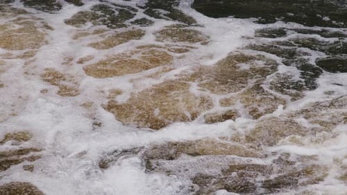 Foamy river water surface with rich textures and swirling bubbles in slow flowing motion