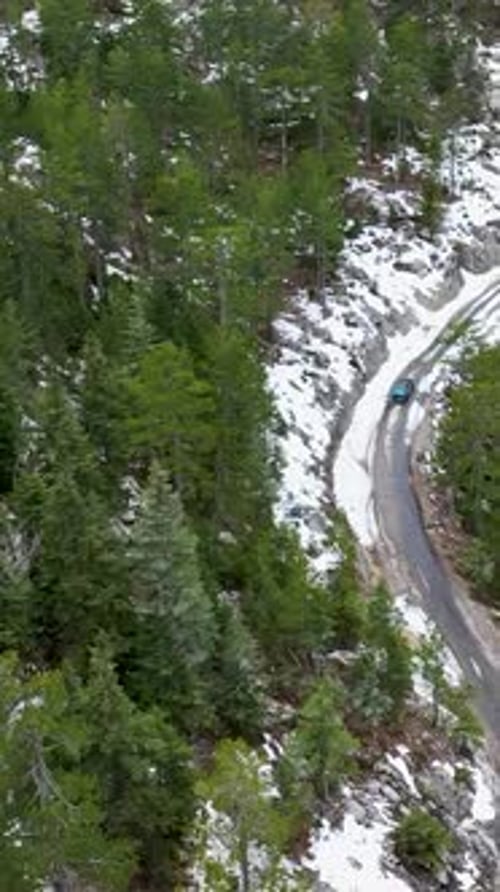 Vertical Video Winter Forest Cinematics Pickup Truck Adventure on Snowy Road in Green Surroundings