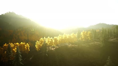Golden Sun Rays Over Autumn Forest Mountains
