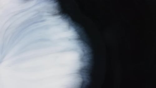 White Ink Spreading on Black Background