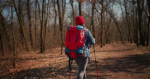 Backpacker Hiker Girl with Hiking Poles Walking Between Trees in a Mountain Forest Hispanic Teenager