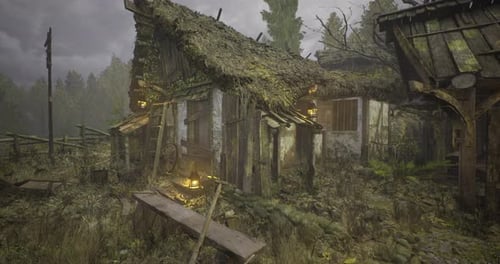 Forgotten Cottage in a Misty Forest Reveals Natures Reclamation