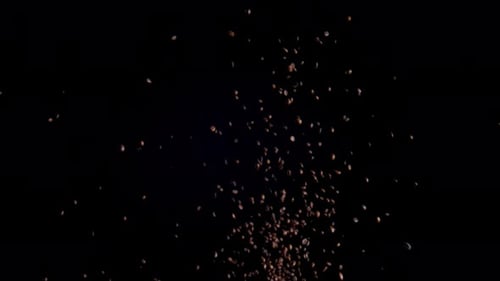 Roasted coffee grains rising up in super slow motion on black background