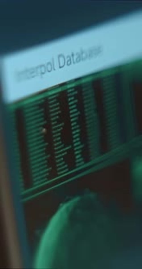 Base de données d'Interpol avec liste d'entrées