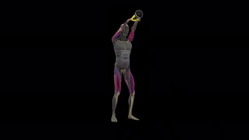 3D Anatomical Human Figure Doing Kettlebell Swings