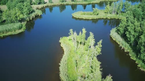 Beautiful Lake Among The Dense Forest.