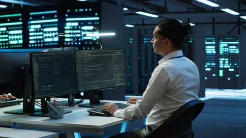Developer and Coworker Overseeing Data Center