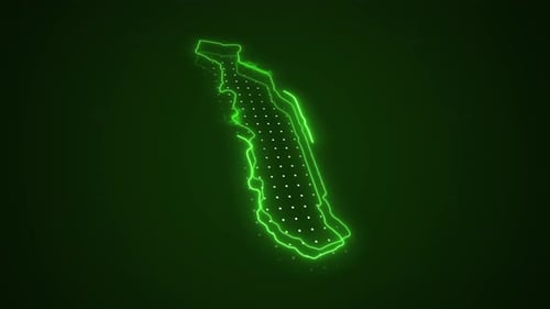 Futuristic Neon Map Outline Animation with Data Filling