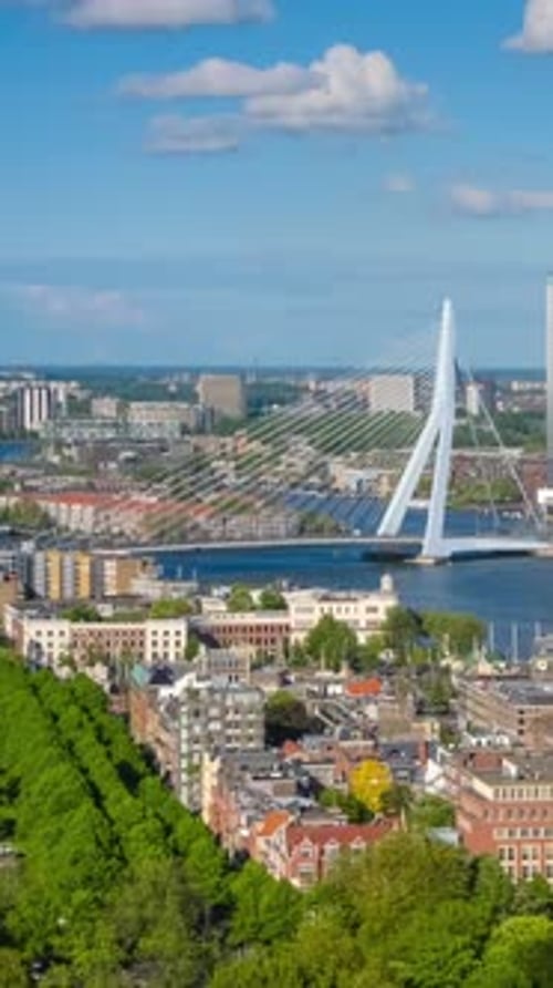 View of Rotterdam City and the Erasmus Bridge Erasmusbrug