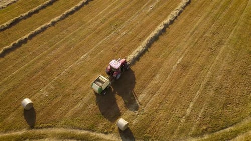 Landwirtschaftlicher Ackerschlepper mit Rundballenpresse im Einsatz auf einem geernteten Weizenfeld zum Sammeln von Stroh und