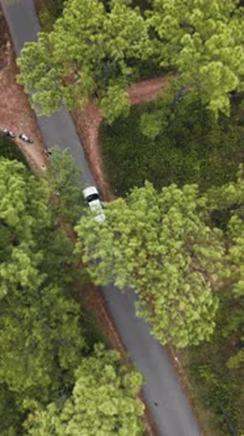 Aerial view of asphalt road in the middle of the pine forest background