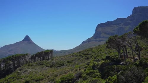 Blick über Kapstadt und Camps Bay