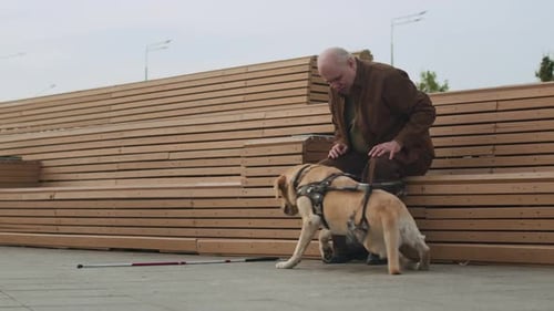 Senior Blind Man Sitting on Street Bench and Training Guide Dog