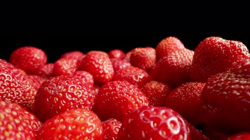 Rote reife Bio-Erdbeeren auf schwarzem Hintergrund Natürliches saftiges Beerenweites Makro