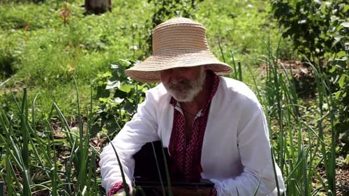 Senior Ukrainian Man in Straw Hat Using Digital Tablet on Summer Garden Elder Male Wearing in