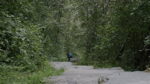 A lone hiker walks down a quiet forest trail surrounded by lush greenery