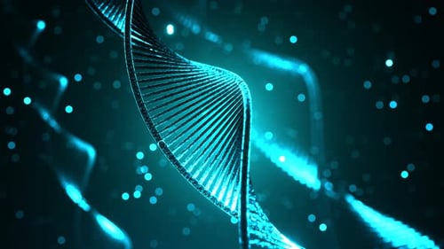 DNA chain. Genetics.