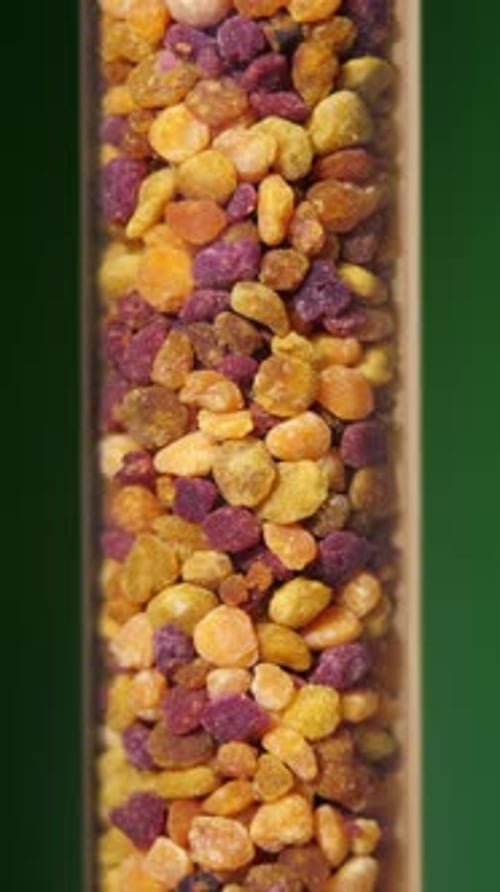 Trockener Pollentee. Rotierende Blütenkörnchen in Zeitlupe auf grünem Hintergrund. Alternative Medizin
