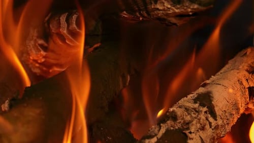 Camp Fire (4K)