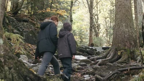 Hikers Mother and Child Hiking Up the Extreme Hill Covered with Tree Roots at Fall Creative Walking