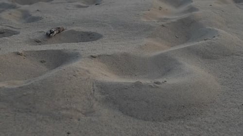 Sandy warm beach.