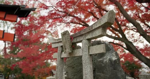 Japan, arch and forest at shrine for religion, sacred culture and spiritual entrance in Kyoto