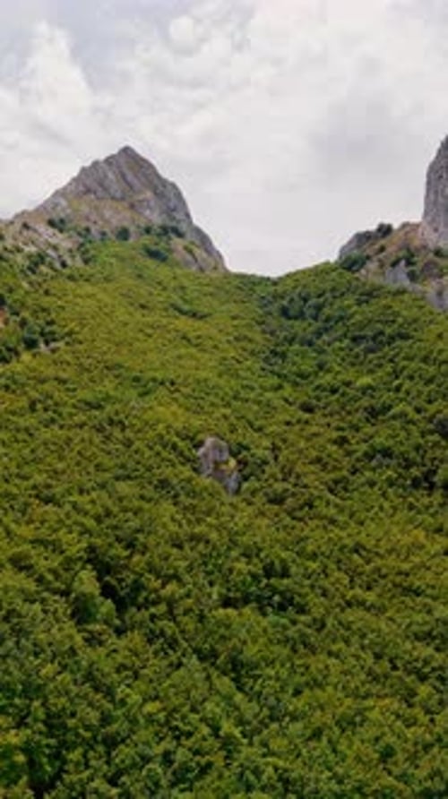 Rising to the mountain top above the lush green forests. Rocky landscape under the cloudy sky.