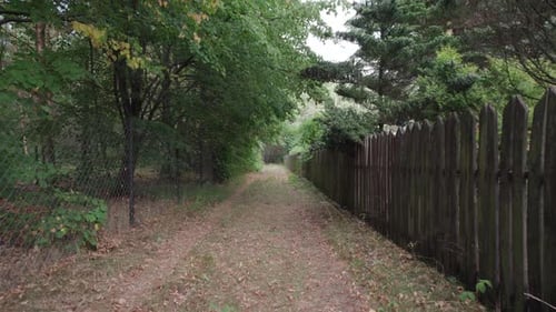 Low drone flight along the country road, walk in the park. Magical forest with trees growing in the