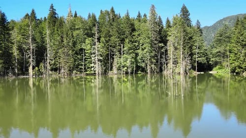 natural lake landscape