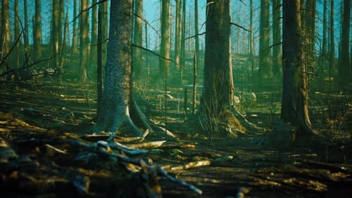 Forest Fire and Fallen Tree is Burned to the Ground with a Lot of Smoke