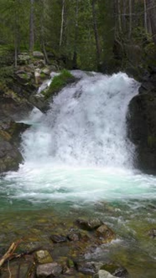 Small Waterfall in Mountain Stream in Alps Forest Nature, Vertical Video