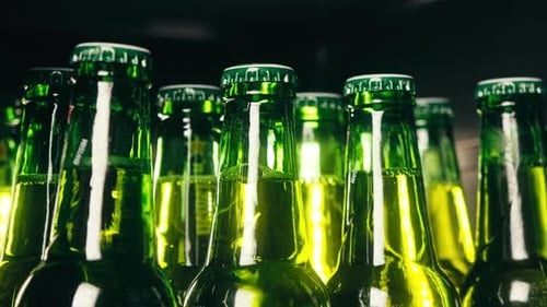 Row of Beer Bottles in Fridge Shop or Hotel Cold Lager Craft German Beer or Cider Shop Supermarket