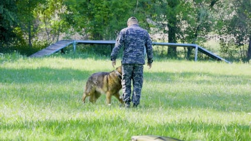 Man and German Shepherd Training on Grassy Field