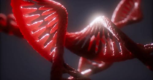 Exploring the Complex Beauty of Dna Structure in Vibrant Red Hues