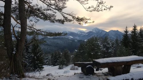 Winter Mountain Landscape with Wooden Seating and Views of the Forest Scenery
