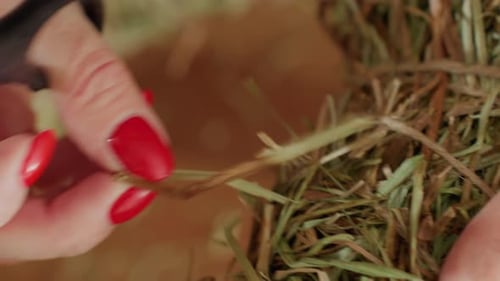 Closeup Macro View of Straw Wreath Crafting Process Showing Red Nail Polished Hands